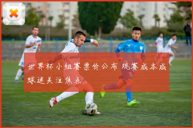世界杯小组赛票价公布 观赛成本成球迷关注焦点