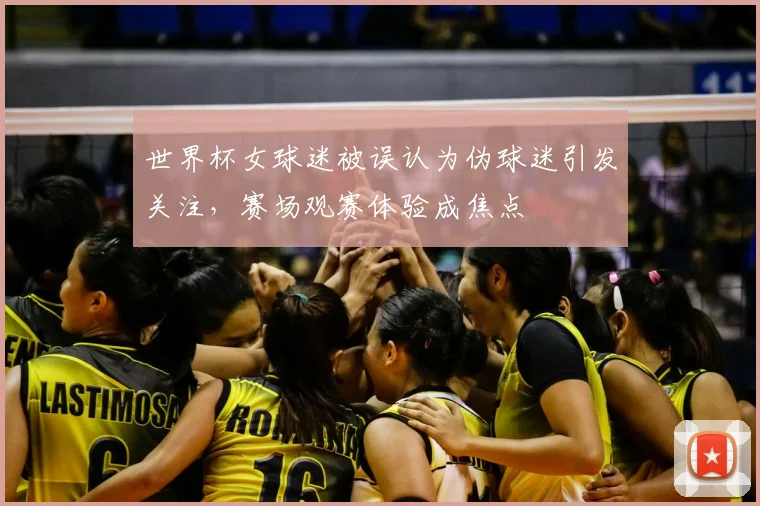 世界杯女球迷被误认为伪球迷引发关注，赛场观赛体验成焦点