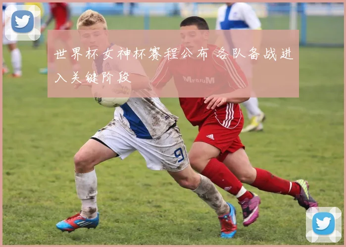 世界杯女神杯赛程公布 各队备战进入关键阶段