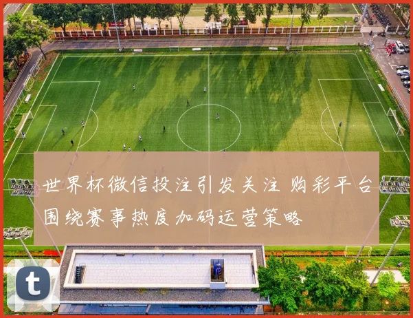 世界杯微信投注引发关注 购彩平台围绕赛事热度加码运营策略