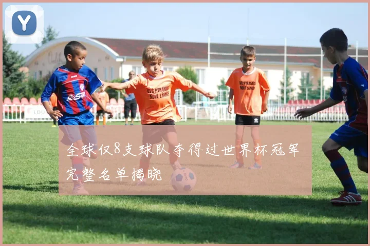 全球仅8支球队夺得过世界杯冠军 完整名单揭晓