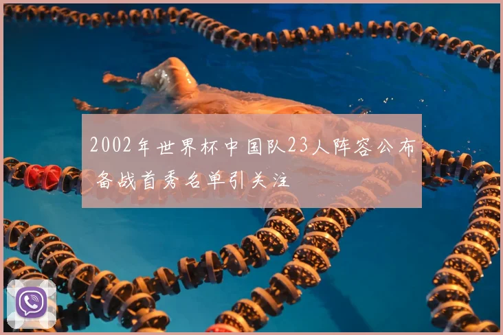 2002年世界杯中国队23人阵容公布 备战首秀名单引关注