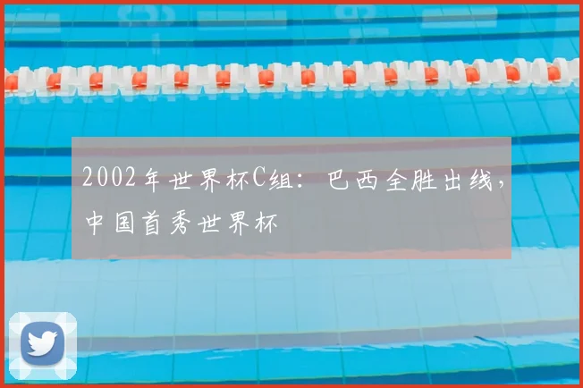 2002年世界杯C组:巴西全胜出线,中国首秀世界杯