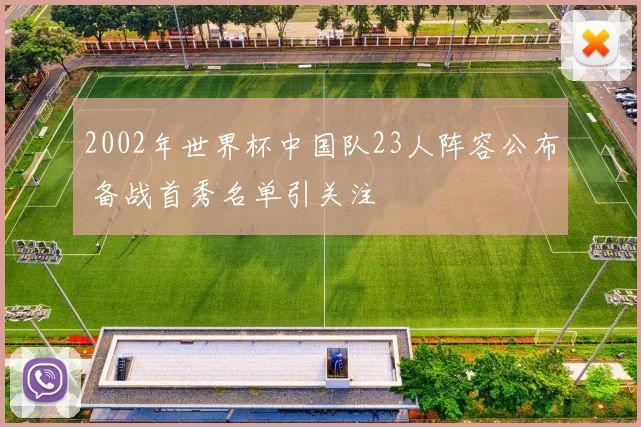 2002年世界杯中国队23人阵容公布 备战首秀名单引关注
