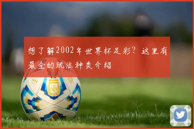 想了解2002年世界杯足彩？这里有最全的玩法种类介绍