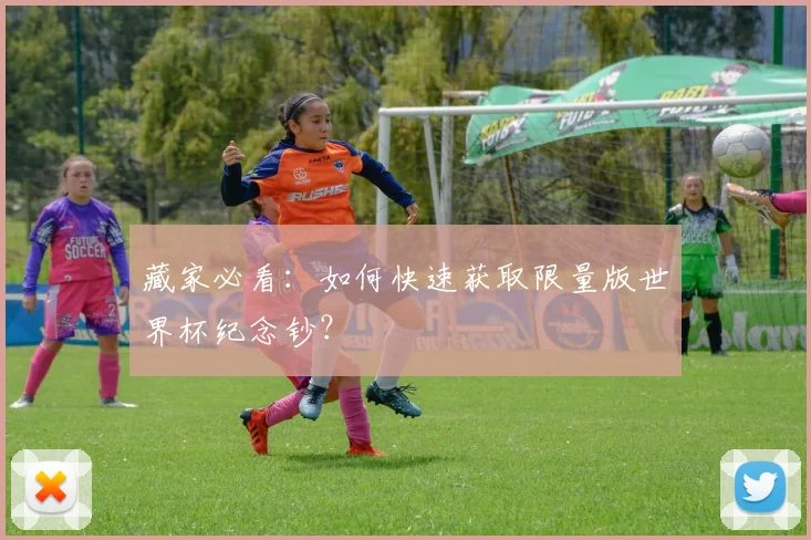 藏家必看：如何快速获取限量版世界杯纪念钞？