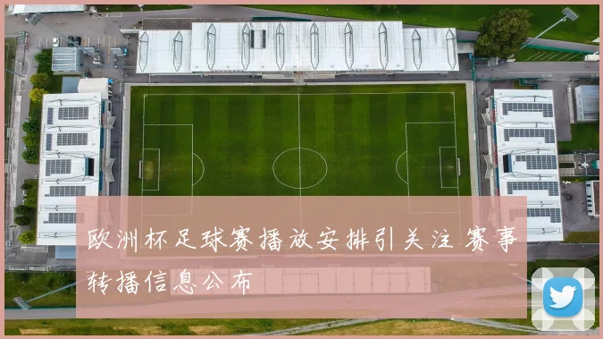 欧洲杯足球赛播放安排引关注 赛事转播信息公布