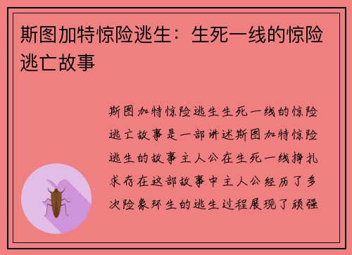 斯图加特惊险逃生：生死一线的惊险逃亡故事